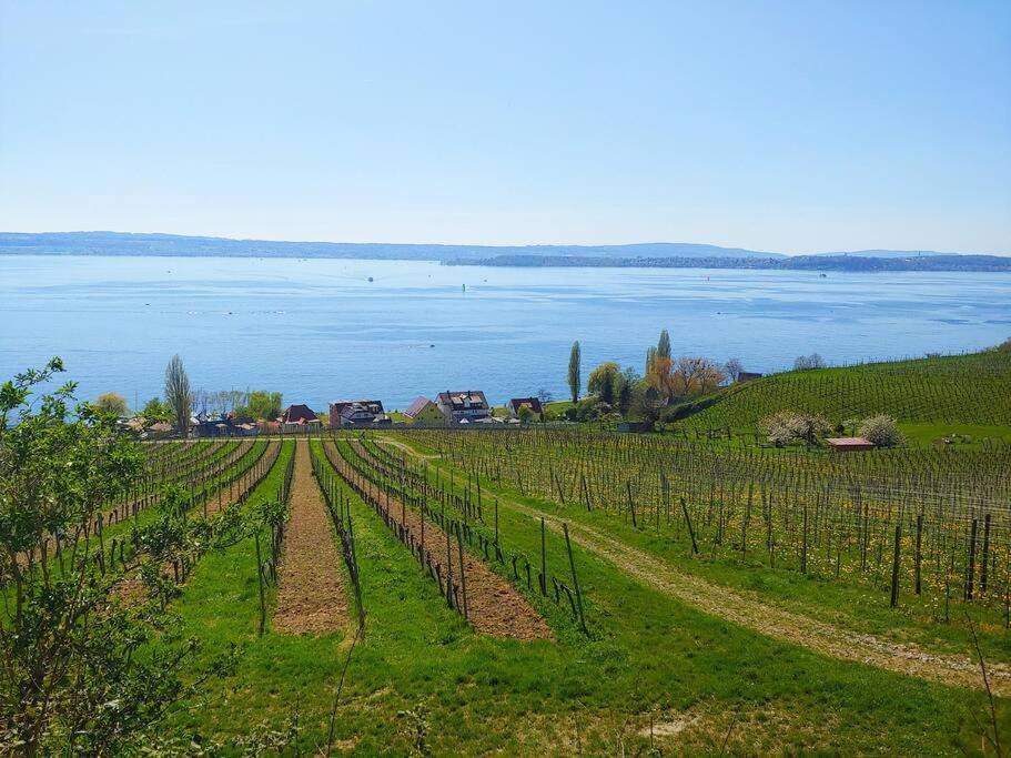 Ferienwohnung Rodtsches Palais 6 Meersburg Esterno foto